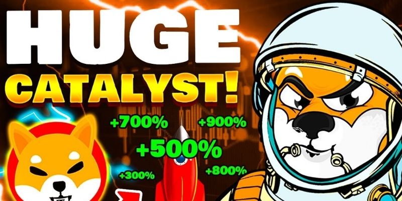 šiba_inu_predvidjanja