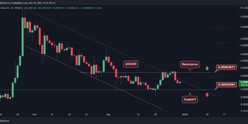 šiba_inu_tehnički_prikaz