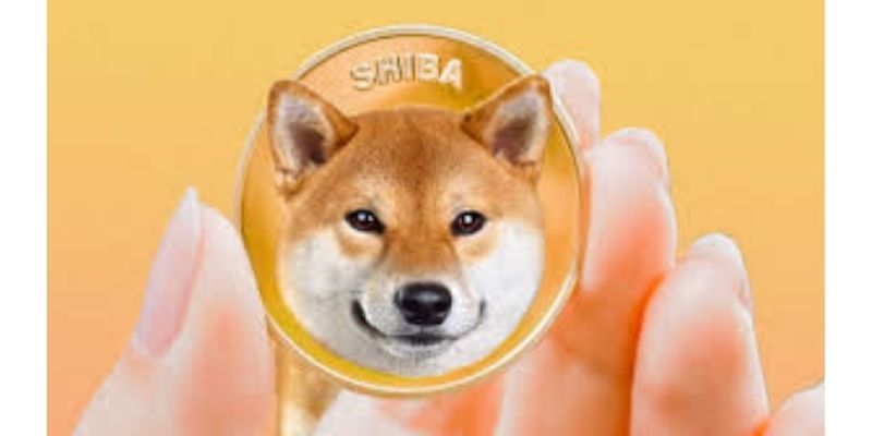 shiba_inu_kriptovaluta